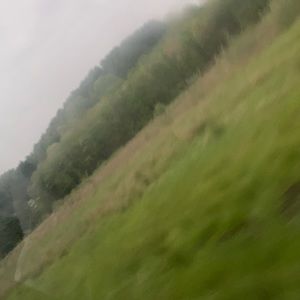 Meet your Posher, Brindon